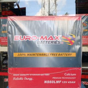 NS60 Euro-Max Battery